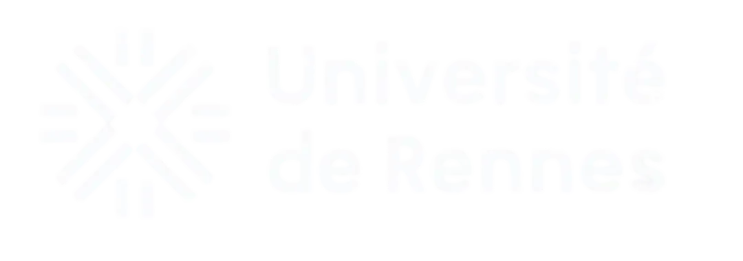 Digital campus: Why the University of Rennes ditched Gather for WorkAdventure